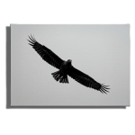 Cuadro Impreso Águila en Vuelo