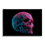 Cuadro Impreso Calavera Floral Neón