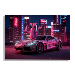 Cuadro Impreso Pantera Rosa Racer