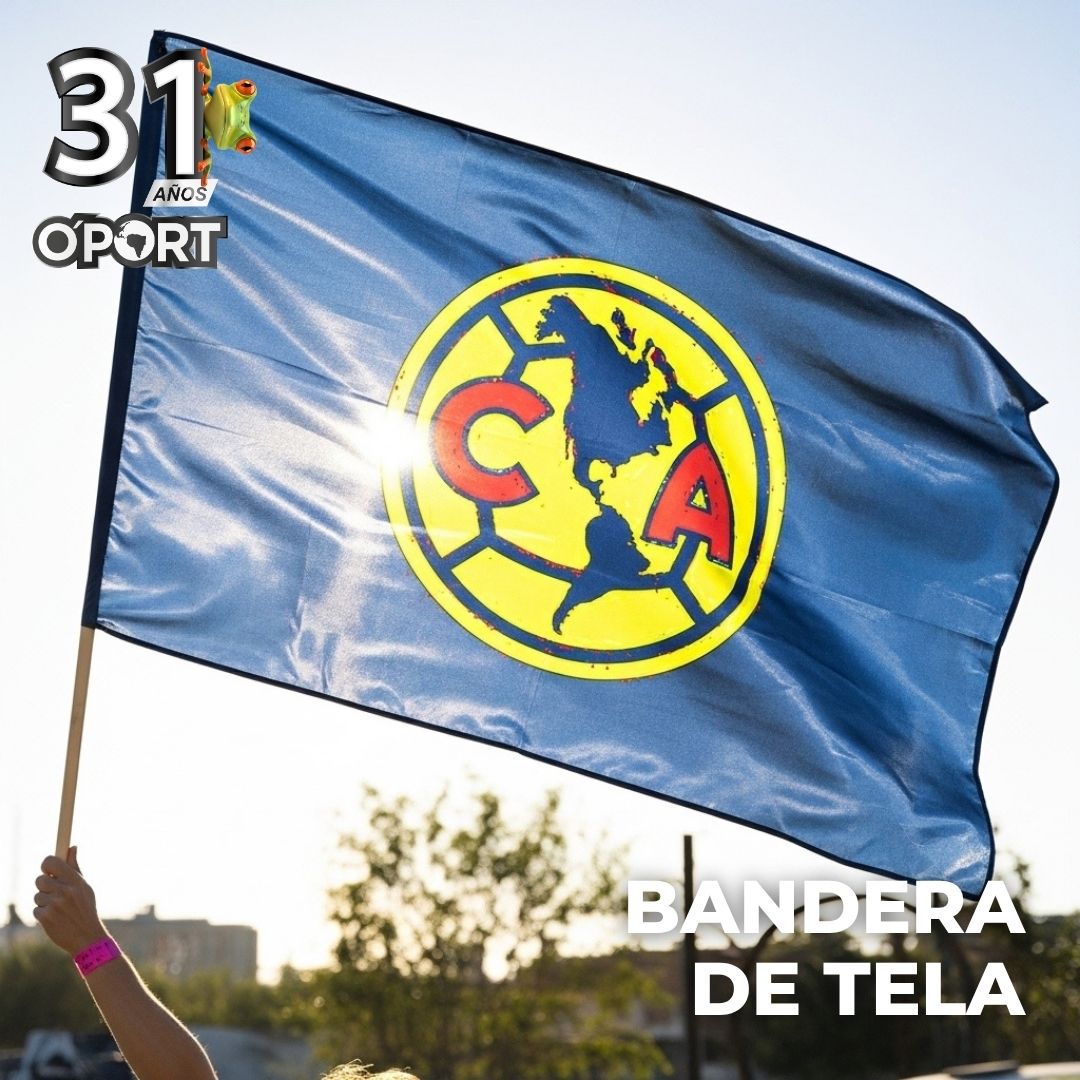 Bandera - Imagen 2