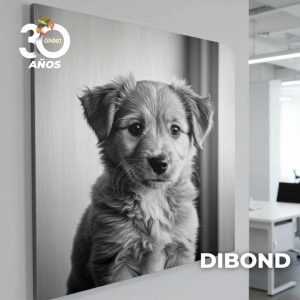 Dibond