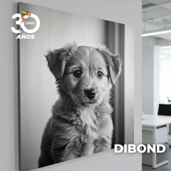 Dibond