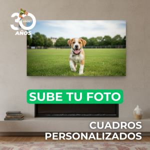 Cuadros MDF
