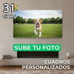 Cuadro en Alucubond