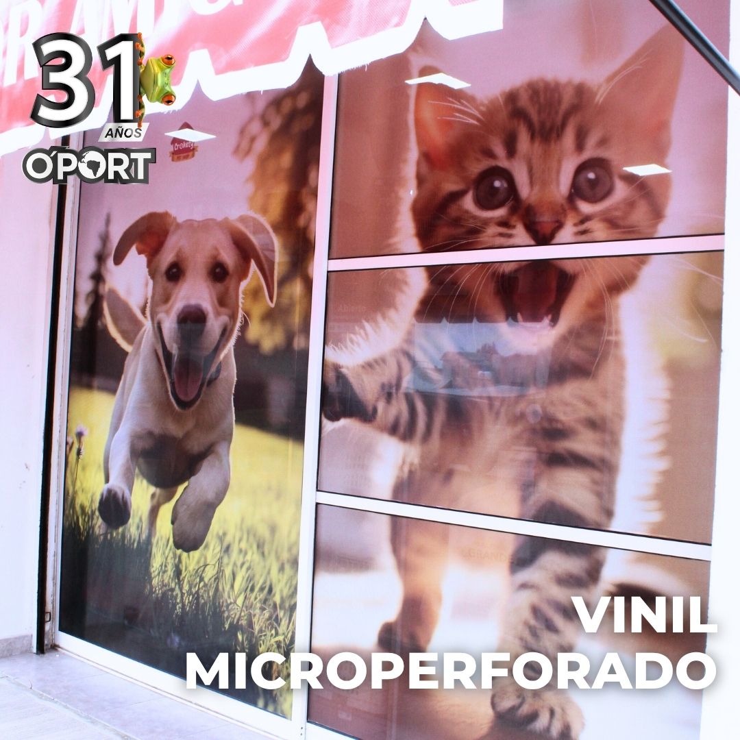 Vinil microperforado - Imagen 4
