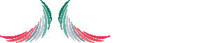 Logo 20