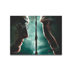 Cuadro Impreso Harry vs Voldemort