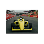 Cuadro Impreso F1 Speed