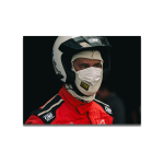 Cuadro Impreso The Racer