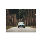 Cuadro Impreso BMW 3.0 CSL