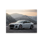 Cuadro Impreso Audi RS7