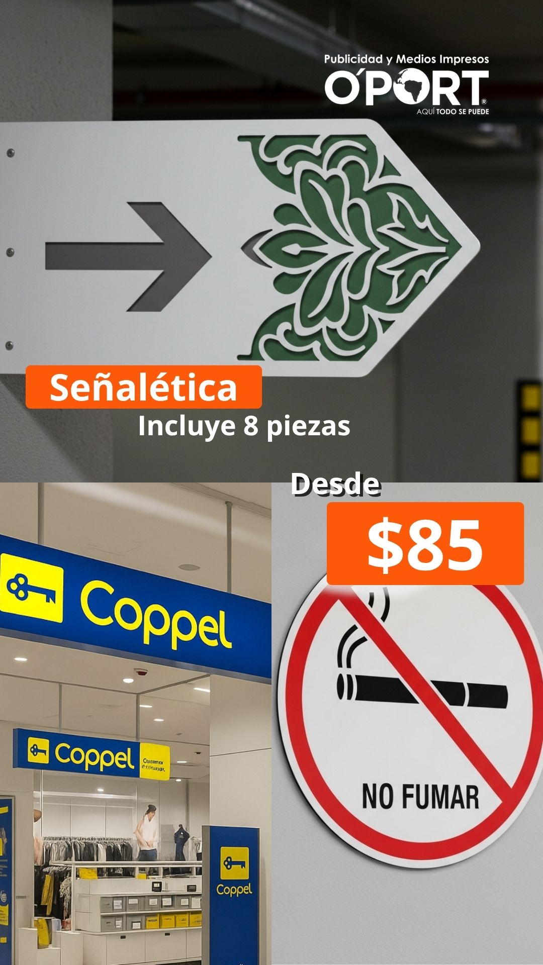 Promoción OPORT 11
